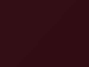 Garnet Pearl touch-up paint for Nissan, code AS1, 1998