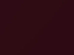 Garnet Red Pearl touch-up paint for Honda Civic, code R91P, 2000