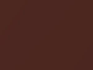 Brown Metallic touch-up paint for Nissan, code CY0, 2005
