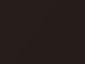 Obsidian Metallic touch-up paint for Rolls Royce, code P29, 2018