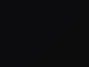 Mercedes-Benz C Class Black touch up paint 040 2014 ClassC