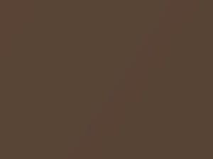 BMW Impala Brown Metallic touch up paint 418 2003 All Models