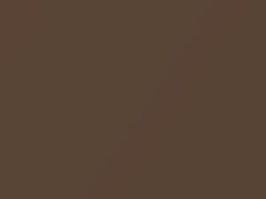 BMW Impala Brown Metallic touch up paint 418 2001 All Models