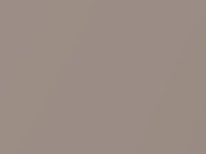 French Beige Metallic touch-up paint for Nissan Maxima, code 029, 29, 1983