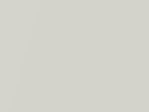 Polar White Pearl touch-up paint for Isuzu Trooper II, code 610, W104P903-0, 2002