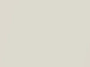 Ivory Pearl touch-up paint for Honda Element, code NH875P, 2003