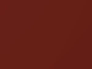 Premium Flame Orange Metallic touch-up paint for Honda, code YR610M, 2020