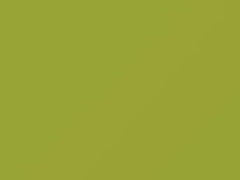 Light Yellow touch-up paint for Mitsubishi, code CMY10031, Y31, 2017