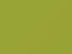 Light Yellow touch-up paint for Mitsubishi, code CMY10031, Y31, 2017