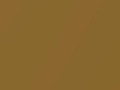 Gold Metallic touch-up paint for Nissan, code EAP, 2020