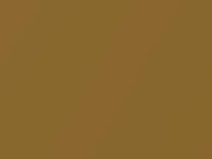 Gold Metallic touch-up paint for Nissan, code EAP, 2020