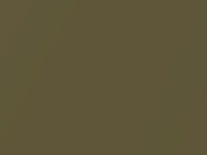 Offbeat Khaki Metallic touch-up paint for Toyota, code G55, 2021