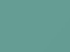 Mint touch-up paint for Fiat, code AY110PG2, PG2, 2017