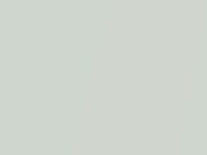 White Pearl touch-up paint for Suzuki Swift, code Z7T, 2000