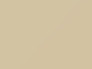 Mercedes-Benz Perlweiss touch up paint 1013 2016 Truck