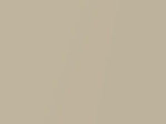 Premium IVory Pearl touch-up paint for Honda, code YR631P, 2017