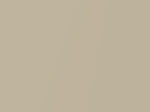 Premium IVory Pearl touch-up paint for Honda, code YR631P, 2017