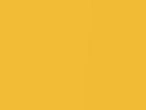 Yellow Pearl touch-up paint for Fiat, code 824, 824C, PY3, 2016