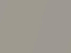 Audi Siambeige Metallic touch up paint 7M 2021 E-Tron