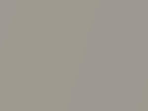 Audi Siambeige Metallic touch up paint 7M 2020 All Models
