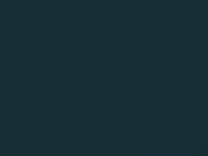 BMW 5 Series Sorrent Blue Metallic touch up paint 360 1994 5-SERIES