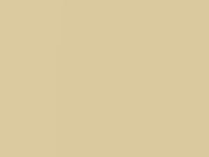 Chiffon IVory Metallic touch-up paint for Mazda Carol, code 45T, ZVG, 2017