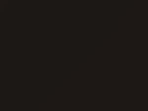 Urban Brown Pearl touch-up paint for Suzuki, code ZSF, 2016