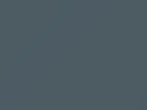 Mercedes-Benz Fehgrau touch up paint 168 2011 Truck