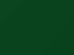 Mercedes-Benz Minzgruen touch up paint 6029 2015 All Models