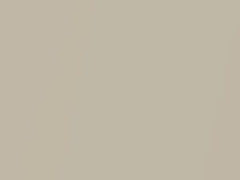 Platinum Dune Pearl touch-up paint for Ford, code BK, EU2GWHA, M7306A, 2019