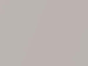 Steel Blonde Metallic touch-up paint for Toyota, code 4X1, 2015