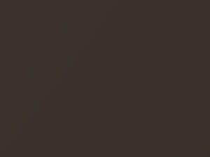 Walnut Brown Metallic touch-up paint for Dodge Ram, code AY096RUW, AY111RUW, 2021