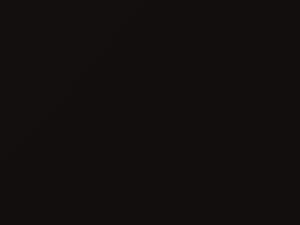 Black Truffle touch-up paint for Bentley, code 6986, 9561084, 2016