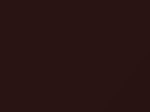 Premium Agate Brown Pearl touch-up paint for Honda Accord, code YR633P, 2007