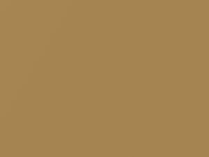 Gold Beige Metallic touch-up paint for Nissan, code HAJ, 2020
