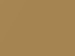 Gold Beige Metallic touch-up paint for Nissan, code HAJ, 2020