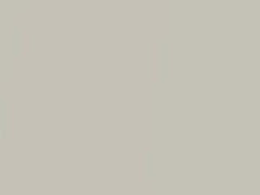 Carrara White II Metallic touch-up paint for Rolls Royce, code P40, 2014