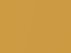 Baniyas Gold Metallic touch-up paint for Rolls Royce, code R53, 2010