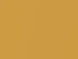 Baniyas Gold Metallic touch-up paint for Rolls Royce, code R53, 2010