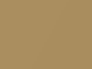 Aurum Metallic touch-up paint for Rolls Royce, code S01, 2007