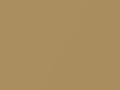 Aurum Metallic touch-up paint for Rolls Royce, code S01, 2010