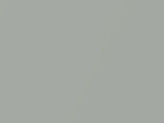 Moonstone Pearl Metallic touch-up paint for Rolls Royce, code T15, 2009