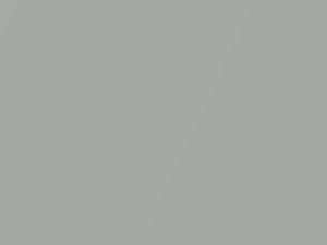Moonstone Pearl Metallic touch-up paint for Rolls Royce, code T15, 2006