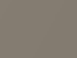 Arizona Beige Metallic touch-up paint for Ford Taurus, code E3, M7317A, 2018