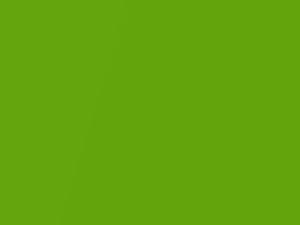Audi Verde Mantis Metallic touch up paint L0L6 2017 All Models