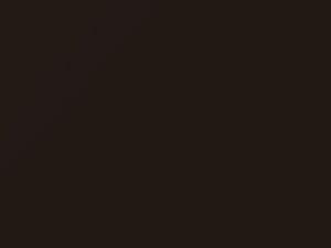 BMW Pyritbraun Metallic touch up paint X13 2016 M3