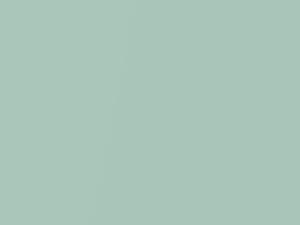 Bohai Bay Mint Metallic touch-up paint for Ford Fiesta, code 5GGG, 753 + alternatives, 2019