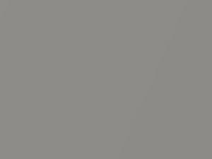 Gray Metallic touch-up paint for Daihatsu, code S42, 2017