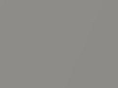 Gray Metallic touch-up paint for Daihatsu, code S42, 2017