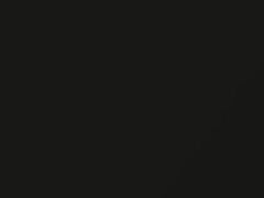 Audi Vesuv Grau Metallic touch up paint F4 2021 All Models